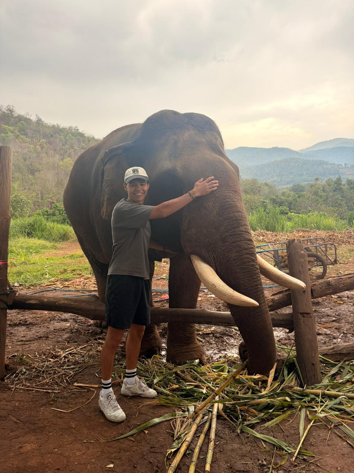 Leo umarmt einen Elefanten in Thailand