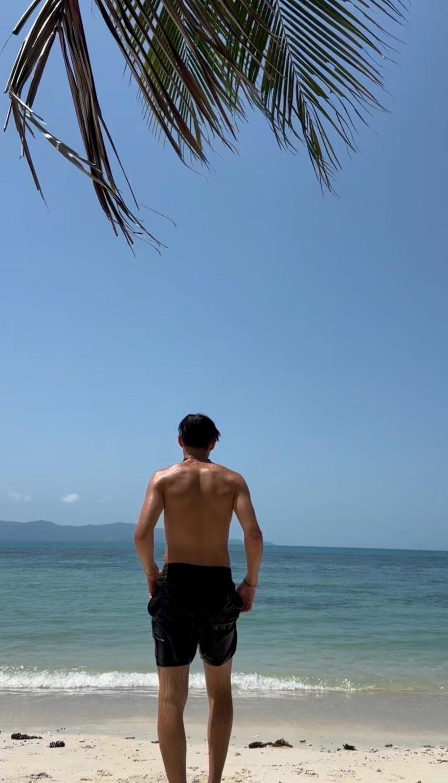 Leo am Strand unter einer Palme